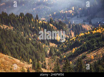 Schöne Aufnahme eines nebligen Wetters über den mit Bäumen bedeckten Bergen Stockfoto