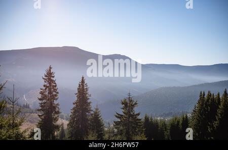 Wunderschöne Aufnahme des Nebels, der die Berge im Hintergrund der Bäume auf dem Hochland bedeckt Stockfoto