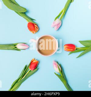 Kreatives Frühlingsarrangement aus rosa und roten Tulpen um eine Tasse Kaffee. Minimale Pastelltöne. Stockfoto