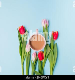 Kreative Frühlingsflachlage aus rosa und roten Tulpen und einer Tasse Kaffee. Minimale Pastelltöne. Stockfoto