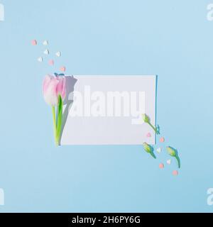 Kreative Frühlingsflachlage mit rosa Herzen, Kaffeetasse, Rosenknospen und Tulpen auf blauem Hintergrund. Minimalkonzept. Stockfoto