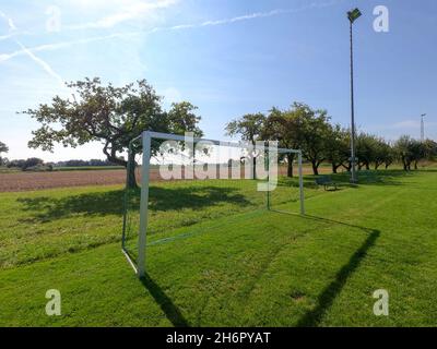 Fußballtor auf einem Feld mit Bäumen im Hintergrund an einem sonnigen Tag Stockfoto