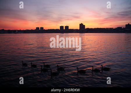 Schwimmen Sie Gänsehaut bei einem roten Sonnenuntergang auf dem Hudson River vor der Abenddämmerung in New York Stockfoto