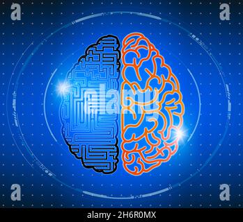 Menschliches Gehirn und digitales Gedächtnis. Cyborg und menschliche Unterschiede in Gedanken und Emotionen. Künstliche Intelligenz. Draufsicht auf ein menschliches und digitales Gehirn. Stockfoto