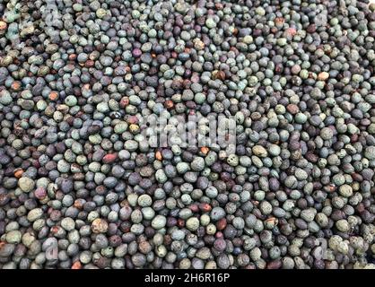 Haufen Terebinth Beeren als Hintergrund Stockfoto