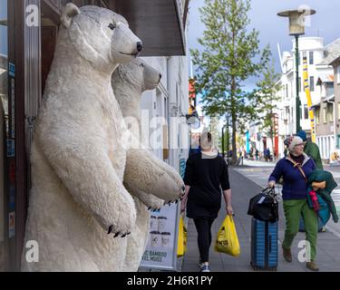 Reykjavik, Island - Juni 12 2021: Eintritt in einen Geschenkeladen in der Laugavegur Street. Zwei weiße Eisbären an der Tür. Touristen gehen die Straße entlang. Stockfoto