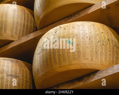 parmesan Parmigiano Reggiano Käserad reift in der Tagebuchproduktion Lagerung in einer besonderen Atmosphäre in Parma Italien Stockfoto