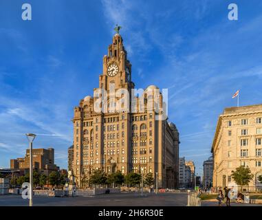 Am frühen Abend im Liver Building an Liverpools historischer Uferpromenade. Die Liver Birds auf der Oberseite sind die Höhe eines Doppeldeckerbusses! Stockfoto