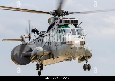 Royal Navy Westland Sea King ASAC.7, Airborne Surveillance and Control Mk.7, umgebaut von AEW2. Flugzeuggestützte Frühwarnversion mit Radarkuppel Stockfoto