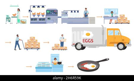 Infografik: Geflügelzucht, Eierproduktion. Chicken Fabrik Verarbeitungslinie, Vertrieb, Verkauf. Lebensmittelindustrie. Stock Vektor