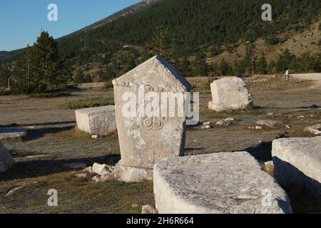 Dekorierte Stećci (mittelalterliche Grabsteine) des Weltkulturerbes Dugo Polje in der Nähe von Risovac (Jablanica, Bosnien und Herzegowina) im Naturpark Blid Stockfoto