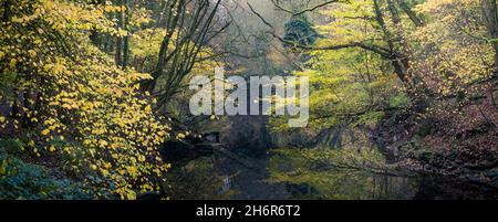 Fluss und überhängende Bäume mit goldenen Blättern an einem Herbsttag Stockfoto