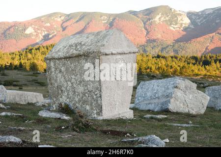 Dekorierte Stećci (mittelalterliche Grabsteine) des Weltkulturerbes Dugo Polje in der Nähe von Risovac (Jablanica, Bosnien und Herzegowina) im Naturpark Blid Stockfoto