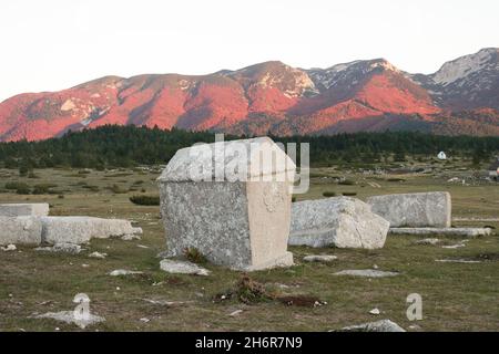 Dekorierte Stećci (mittelalterliche Grabsteine) des Weltkulturerbes Dugo Polje in der Nähe von Risovac (Jablanica, Bosnien und Herzegowina) im Naturpark Blid Stockfoto