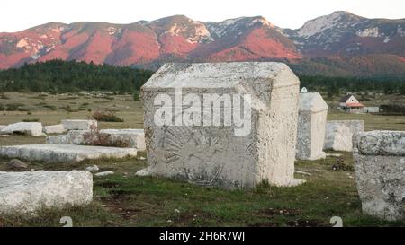 Dekorierte Stećci (mittelalterliche Grabsteine) des Weltkulturerbes Dugo Polje in der Nähe von Risovac (Jablanica, Bosnien und Herzegowina) im Naturpark Blid Stockfoto