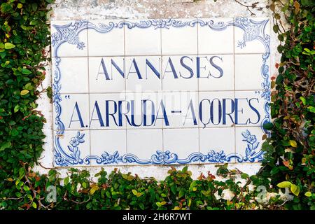 Die Beschilderung vor der Arruda Ananas-Plantage (Ananasfarm) in traditionellen blauen und weißen Fliesen. Ponta Delgado, Sao Miguel, Azoren, Portugal Stockfoto