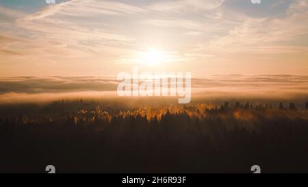 Wolkenmeer über dem Wald. Der Himmel im November vor Sonnenuntergang. Milchtannen im Herbst, in goldenes Licht getaucht. Mystische und rätselhafte Landschaft. Stockfoto