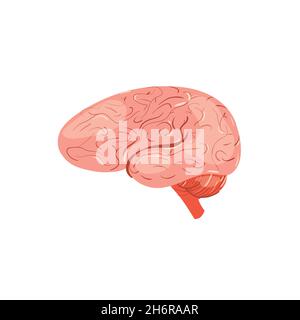 Flaches Cartoon Person Gehirn, medizinische Behandlung und Therapie, menschliche Anatomie pädagogisches Material Vektor Illustration Konzept Stock Vektor
