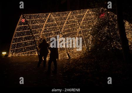 Berlin, Deutschland. November 2021. Bei der Eröffnung von „Christmas in the Zoo“ stehen die Besucher vor dem „Dome of Lights“. Quelle: Paul Zinken/dpa/Alamy Live News Stockfoto