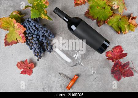 Rotwein-Flasche mit schwarzem Etikett Mockup mit Trauben, grünen und roten Herbst Traubenblätter auf grauem Hintergrund Stockfoto