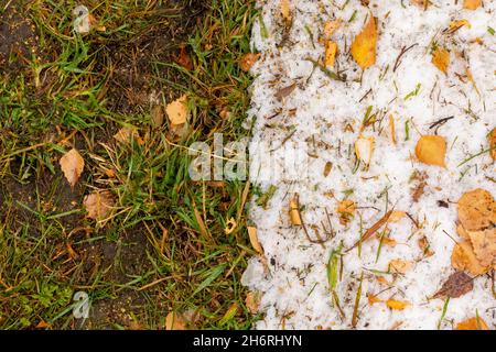 Hintergrund in Form von grünem Gras mit Herbstblättern und Schnee. Stockfoto