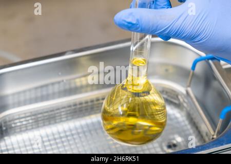 Wissenschaftler aus blauem Gummi gibt eine gelbe Lösung in die Flasche zum Auflösen oder Extrahieren in ein Ultraschallbad. Harnstoffanalyse. Klinische, toxikologische und forensische Analysen. Stockfoto