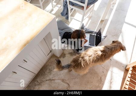 Achtjähriger Junge, Kinn an den Händen, beim Betrachten eines Laptop-Bildschirms, Hausaufgaben machen, Hund neben ihm, Stockfoto