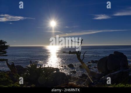 Meerblick vom Pescadero Point Stockfoto