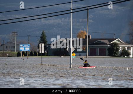 Abbotsford, British Columbia, Kanada. November 2021. Ein Kajakfahrer macht sich auf den Weg über die Autobahn, die durch die Stadt Abbotsford führt. Das Rückgrat des nationalen Verkehrsnetzes wurde von katastrophalen Überschwemmungen in vielen Teilen der Provinz und des Staates Washington überflutet. Quelle: Quinn Bender/ZUMA Wire/Alamy Live News Stockfoto