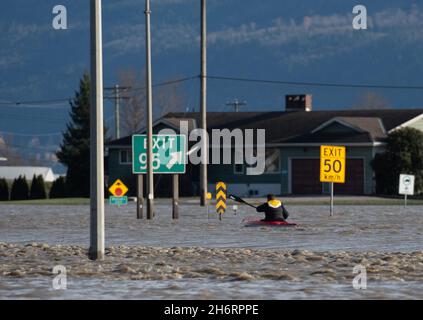 Abbotsford, British Columbia, Kanada. November 2021. Ein Kajakfahrer macht sich auf den Weg, den Highway 1, den Trans Canada Highway, der durch die Stadt Abbotsford führt. Das Rückgrat des nationalen Verkehrsnetzes wurde von katastrophalen Überschwemmungen in vielen Teilen der Provinz und des Staates Washington überflutet. Quelle: Quinn Bender/ZUMA Wire/Alamy Live News Stockfoto