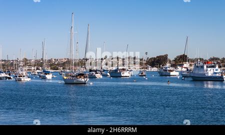 Boote, die im überfüllten Hafen von Newport Beach mit Stadtlandschaft im Hintergrund in Kalifornien festgemacht wurden Stockfoto