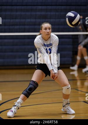 Volleyball-Action mit Snake River und Sugar Salem High School in Coeur d'Alene, Idaho. Stockfoto