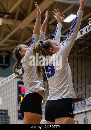 Volleyball-Action mit Snake River und Sugar Salem High School in Coeur d'Alene, Idaho. Stockfoto