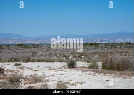 Zu Fuß zum Limassol Salzsee, sonnengetrocknetes Gras und Blick auf Limassol am Horizont in suny Tag Stockfoto