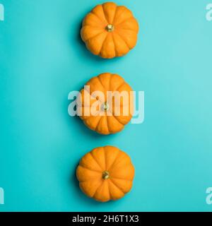 Mini-orange Kürbisse in einer Linie auf blauem Hintergrund Stockfoto