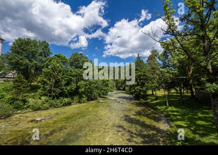 Bild der Sava Bohinjka, ein typischer Alpenfluss aus Bohinj, Slowenien, mit Gras, fließendem Wasser und Bergen, in den Julischen alpen oder julijske al Stockfoto