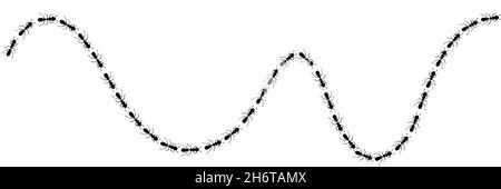 Trail-Kurve der MitarbeiterAmeisen. ANT-Pfad auf weißem Hintergrund isoliert. Vektorgrafik Stock Vektor