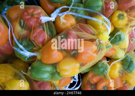 Gelbe, rote, orange und grüne Paprika in einem Netz in einem Gemüseladen angezeigt verpackt Stockfoto