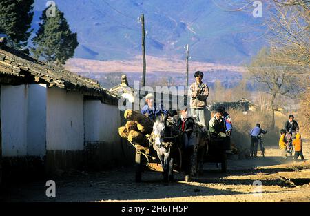 CHINA, YUNNAN, LIJIANG, BAISHA, NAXI-MINDERHEITSDORF Stockfoto