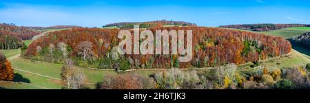 Panoramablick auf den Wald von Box Copse im Arundel Park (Norfolk Estate) in Arundel, West Sussex, England, Großbritannien, mit Herbstfarben. Siehe zusätzliche Informationen. Stockfoto