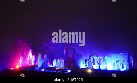 Solitiude von Kari Kola, beleuchtet Finchale Priory während einer Vorschau auf Lumiere Durham, das größte Lichtfestival Großbritanniens. Bilddatum: Mittwoch, 17. November 2021. Stockfoto