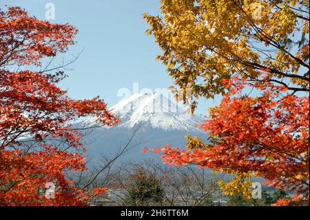 Der schneebedeckte Gipfel des Fuji, der im Herbst gesehen wird, beginnt auf dem Weg zur Chureito-Pagode in der Nähe von Shimoyoshida in der Präfektur Yamanashi, Japan. Stockfoto