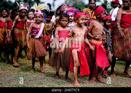 Papua Traditonaler Tanz Stockfoto