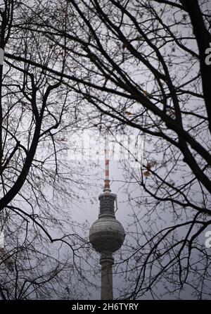 Berlin, Deutschland. November 2021. Der Fernsehturm kann durch die Äste von Bäumen gesehen werden, die bereits alle ihre Blätter verloren haben. Kredit: Britta Pedersen/dpa-Zentralbild/dpa/Alamy Live Nachrichten Stockfoto