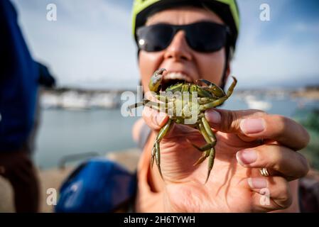 Eine Touristenfrau hält gerne eine grüne Krabbe in der Hand im Hafen von Alvor, Algarve, Portugal Stockfoto
