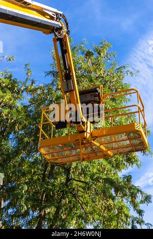 Ansicht von unten auf den gelben Plattformlift auf den oberen Bäumen im Park Stockfoto