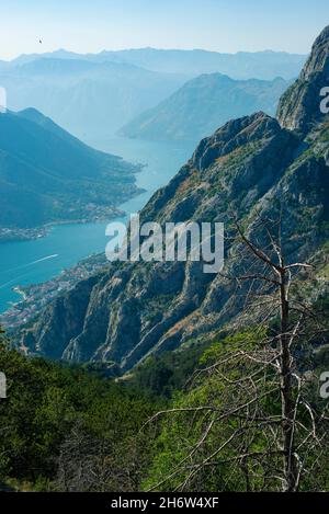 Blick auf die wunderschöne Bucht von Kotor vom Lovcen-Berg aus ist die Bucht von Kotor der südlichste Fjord Europas Stockfoto