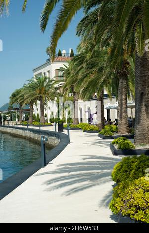 Porto Montenegro, luxuriöser Yachthafen und Teil von Tivat, Montenegro Stockfoto