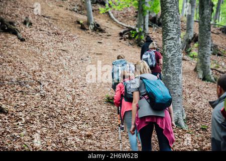 Reisende erklimmen den Berg bei einer Waldwanderung Stockfoto