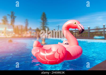 Rosa Flamingo Kreis in türkisfarbenem Wasser sonnigen Tag. Konzept Sommer Pool Party Hintergrund. Stockfoto